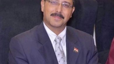 الشاعر محمد أبو غزاله