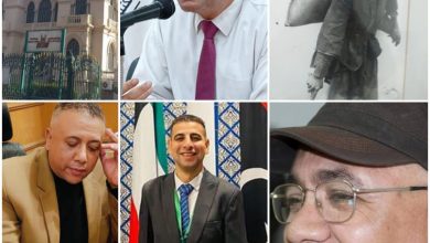 مشروع مصر بأنامل المصريين