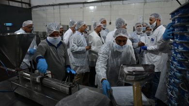 مصنع البان