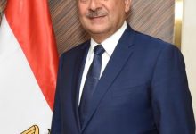وزير قطاع الأعمال