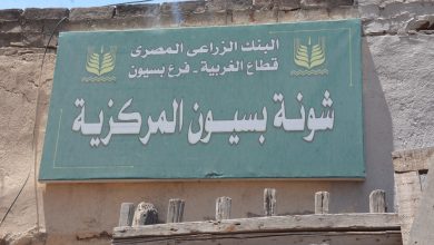 محافظ الغربية يتابع ميدانياً توريد القمح بالشونة المركزية ببسيون