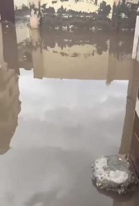 متابعه مستمره لبحث شكاوى المواطنين بالغربيه