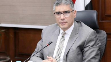 محافظ الجيزة