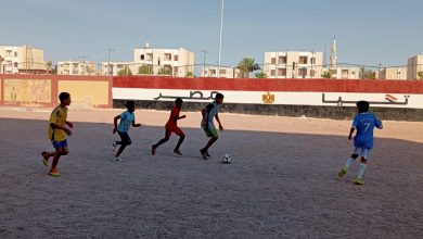 تحت رعاية مجلس الوزراء في إطار مواجهة التحديات وتعزيز الأمن القومي
