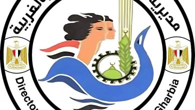 تيب مجموعات شباب الغربية