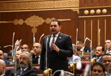 النائب فرج فتحي فرج
