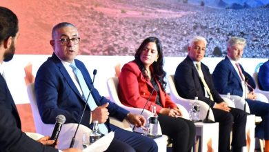 الرئيس التنفيذي للهيئة العامة للاستثمار والمناطق الحرة