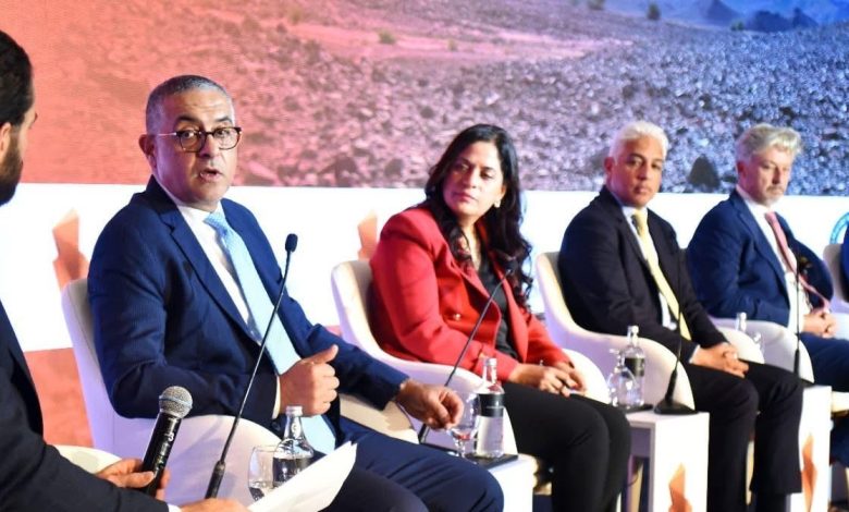 الرئيس التنفيذي للهيئة العامة للاستثمار والمناطق الحرة
