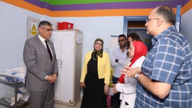محافظ الجيزة
