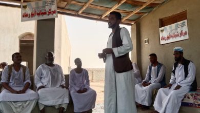 انتخابات مجلس الشيوخ المصرى،