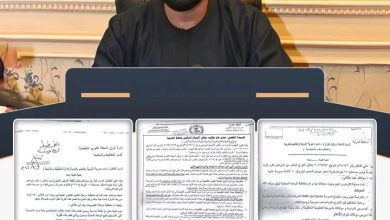 درسة تجريبية للغات بقرية دمتنو بالمحلة