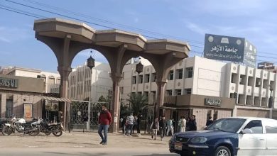 محاكاة الحياة النيابية والتشريعية فاعلية