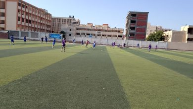 بلقينا × سجين الكوم