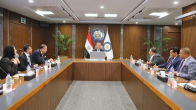 وزير البترول والثروة المعدنية