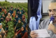 قصيدة عرايس من الجنه
