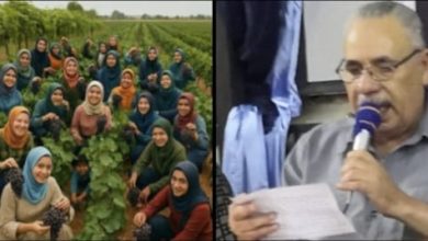 قصيدة عرايس من الجنه