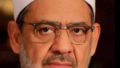 الاستاذ الدكتور احمد الظيب