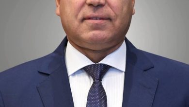نائب رئيس مجلس الوزراء للتنمية الصناعية وزير الصناعة والنقل