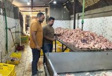 محافظة الجيزة: ضبط ١٣٫٥ طن لحوم ودواجن ومنتجات حيوانية فاسدة
