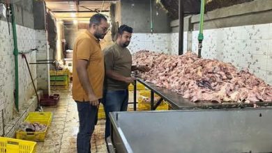 محافظة الجيزة: ضبط ١٣٫٥ طن لحوم ودواجن ومنتجات حيوانية فاسدة