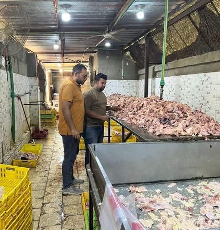 محافظة الجيزة: ضبط ١٣٫٥ طن لحوم ودواجن ومنتجات حيوانية فاسدة