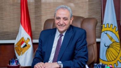 محافظ الغربية يتابع جهود الوحدات المحلية في صيانة أعمدة الإنارة بمراكز وقرى المحافظة