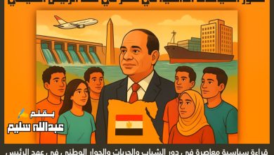 تطور السياسات الداخلية في مصر في عهد الرئيس السيسي