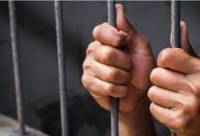 القبض على تيك توكر زعم بيع كليته لفنانة شهيرة بعد تقدمها ببلاغ رسمي ضده