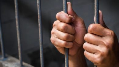 القبض على تيك توكر زعم بيع كليته لفنانة شهيرة بعد تقدمها ببلاغ رسمي ضده