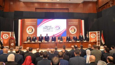 انتخابات الشيوخ 2025.. قراءة هادئة في المشاركة السياسية